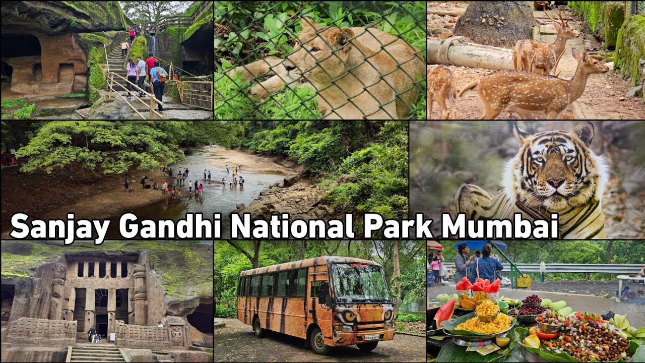 Sanjay Gandhi National Park gallery 29