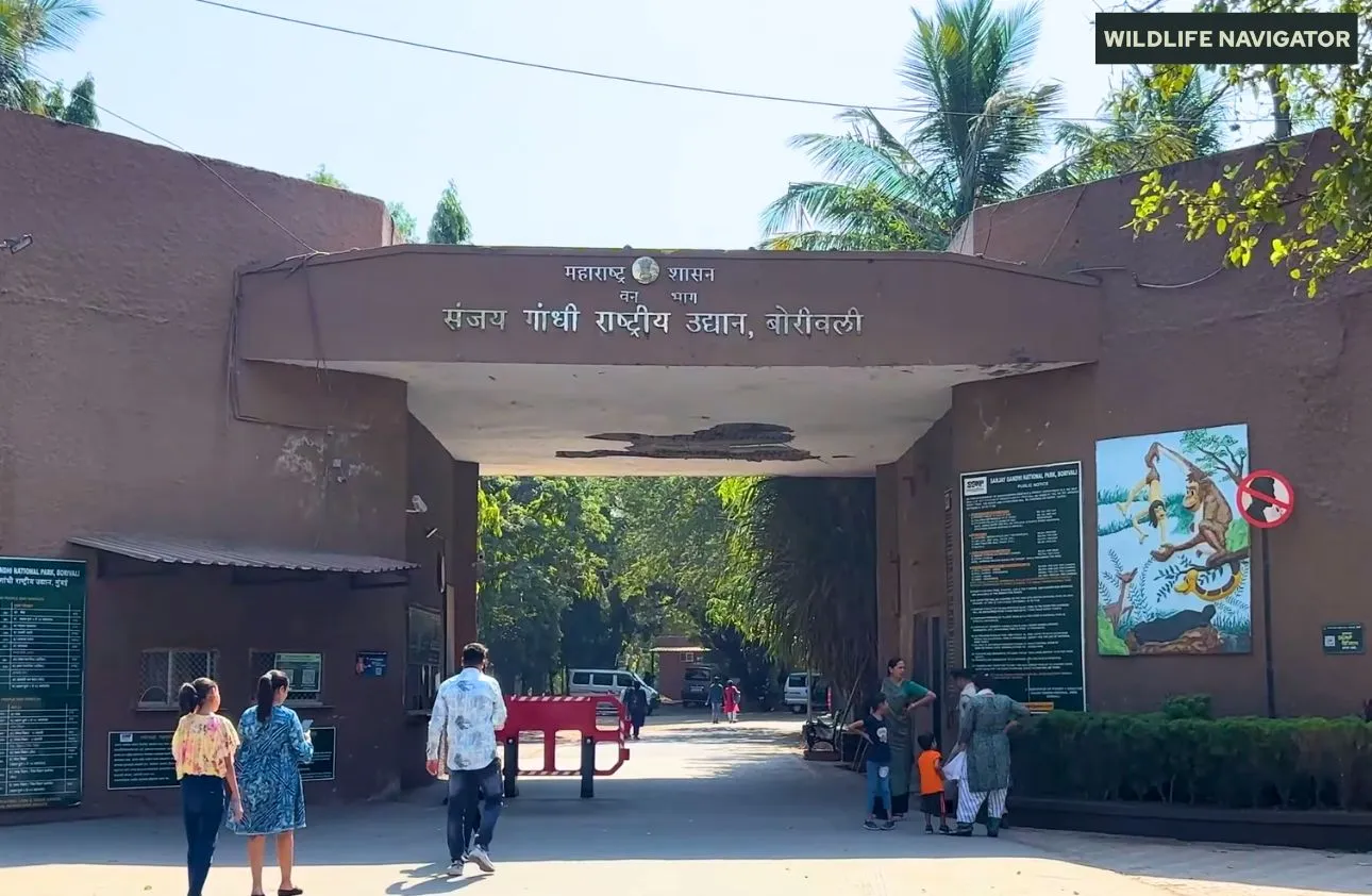 Sanjay Gandhi National Park gallery 39