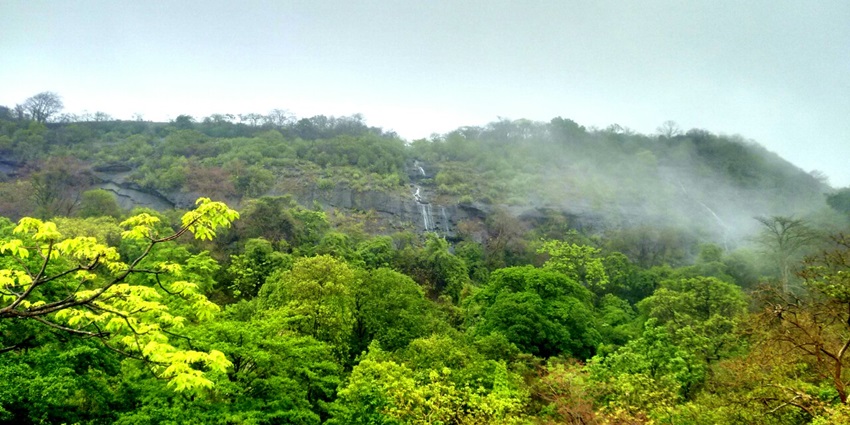 Sanjay Gandhi National Park gallery 37