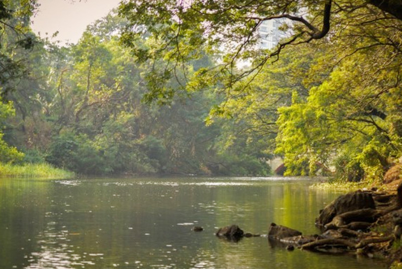 Sanjay Gandhi National Park gallery 21