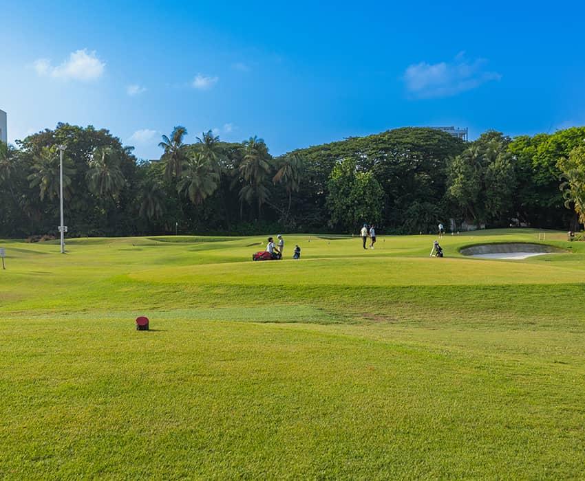 Willingdon Sports Club gallery 4