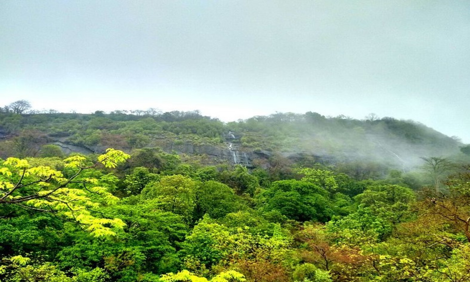 Sanjay Gandhi National Park gallery 28
