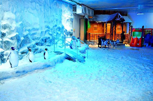 Snow Kingdom gallery 25