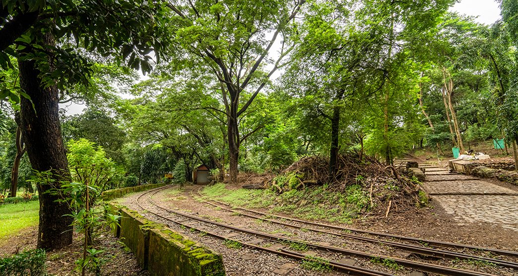 Sanjay Gandhi National Park gallery 40