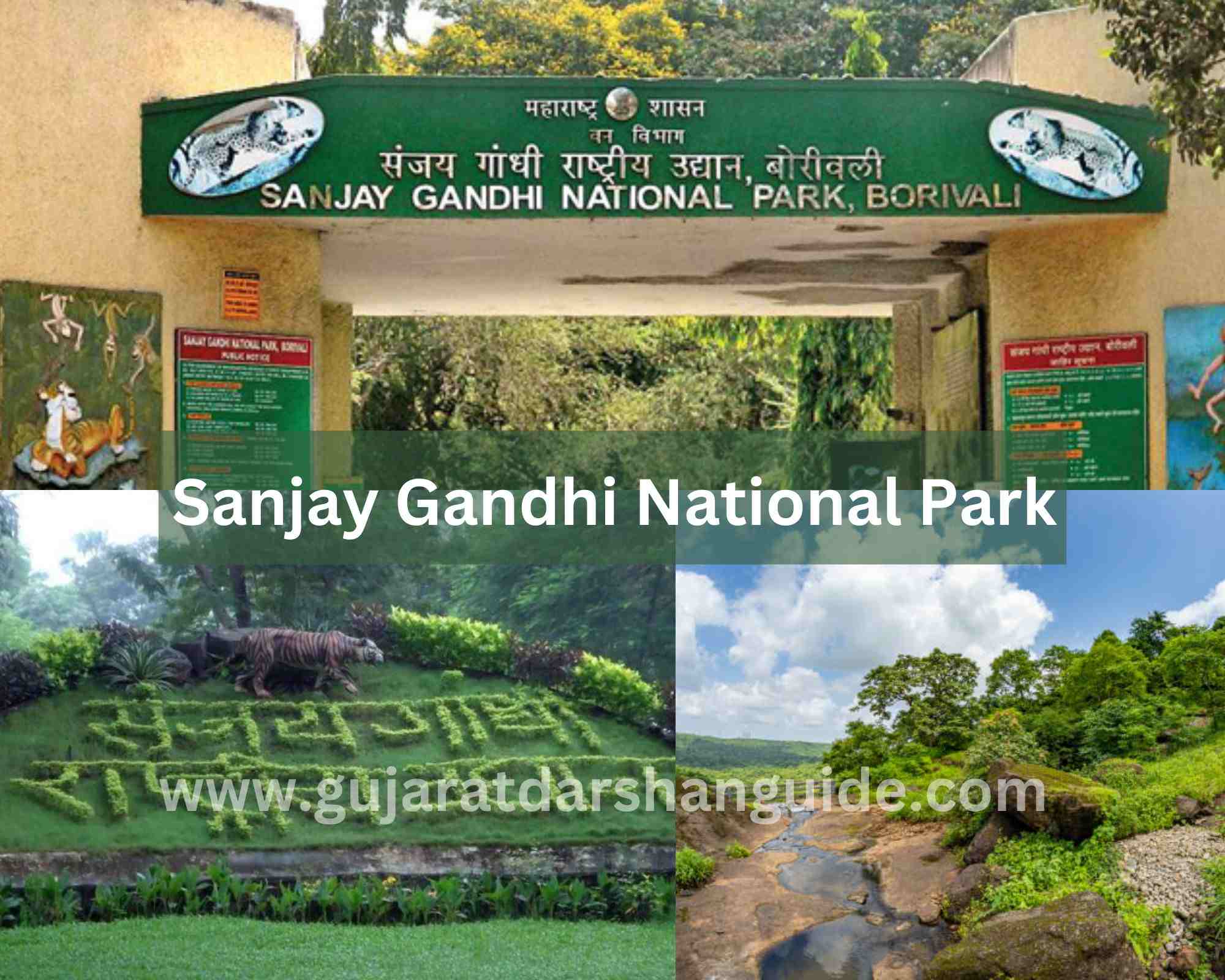 Sanjay Gandhi National Park gallery 27