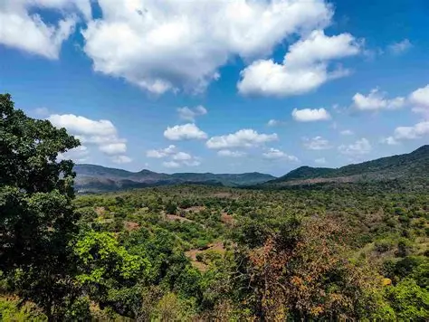 Sanjay Gandhi National Park gallery 18