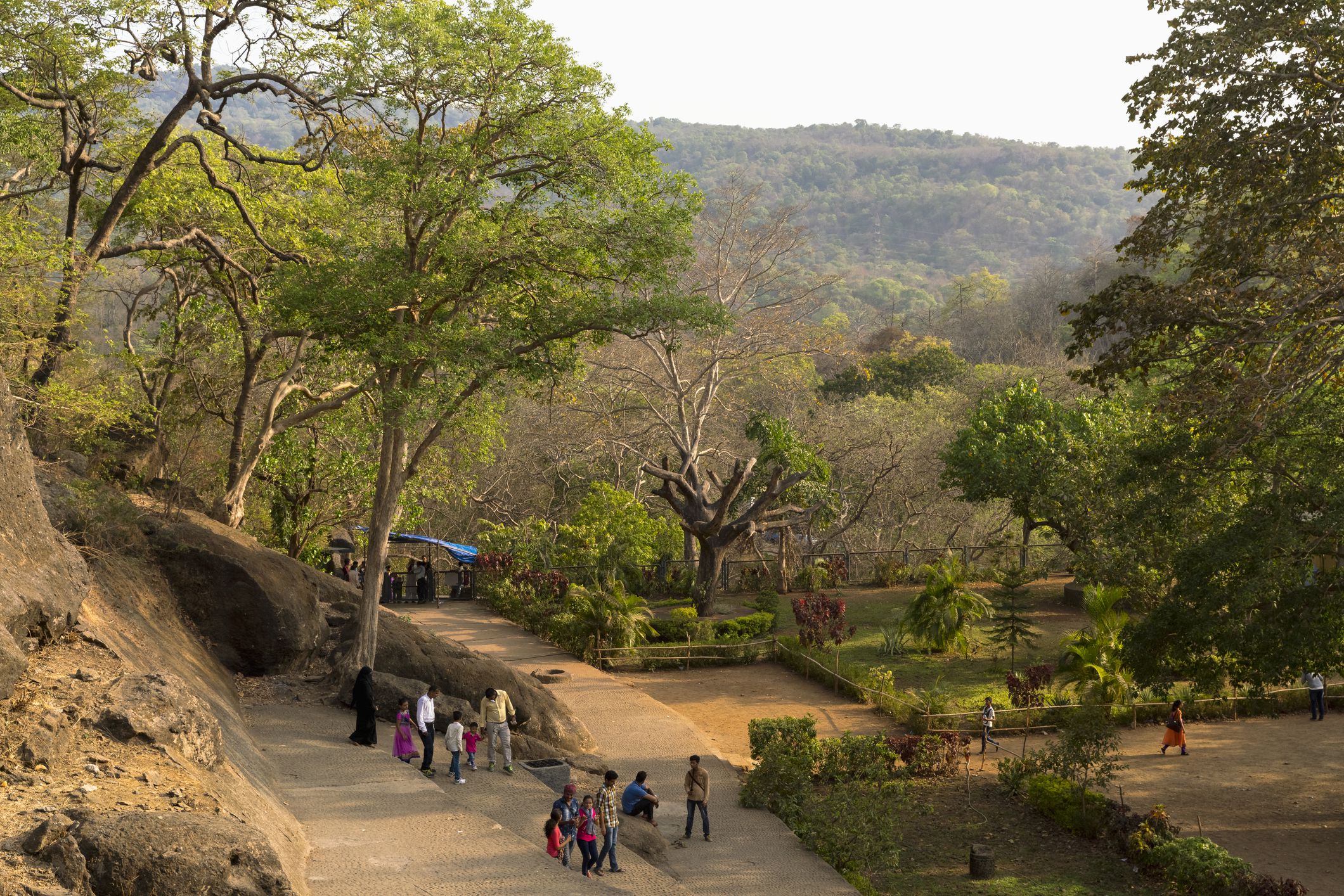 Sanjay Gandhi National Park gallery 30
