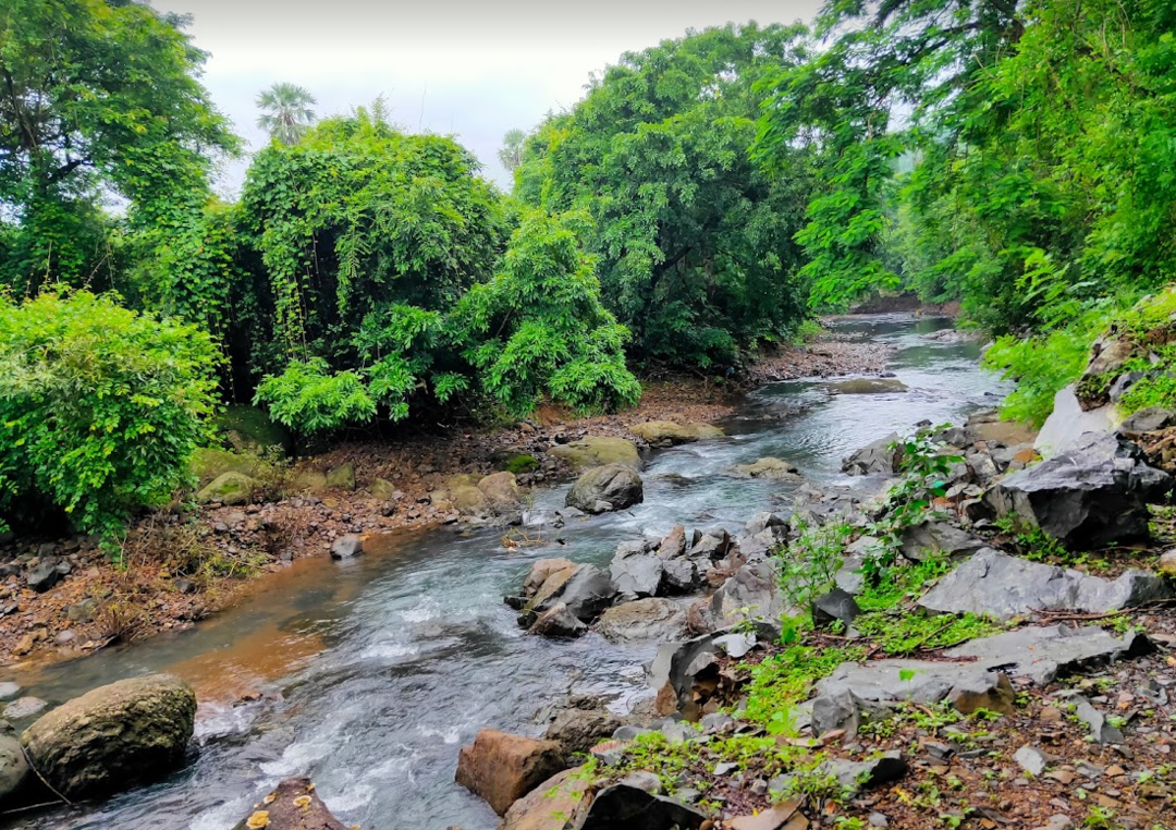 Sanjay Gandhi National Park gallery 33