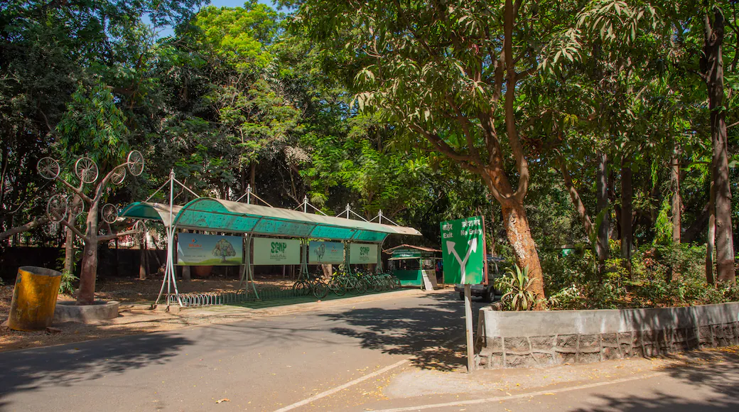 Sanjay Gandhi National Park gallery 2