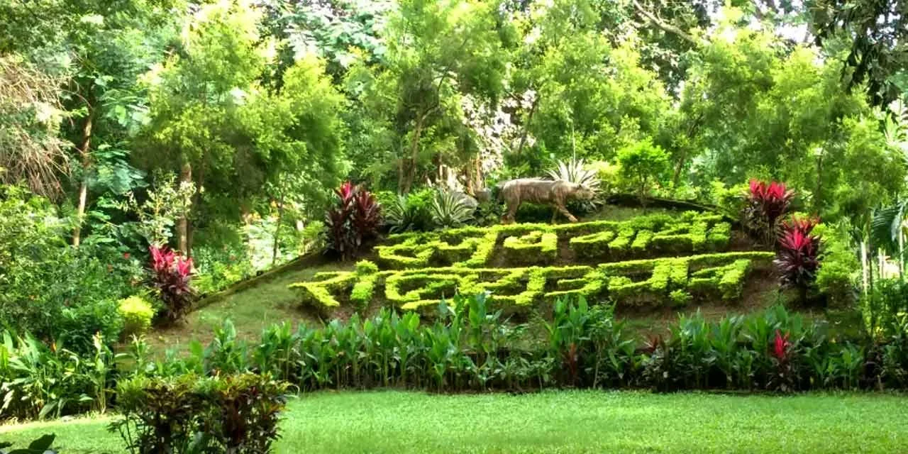 Sanjay Gandhi National Park gallery 16