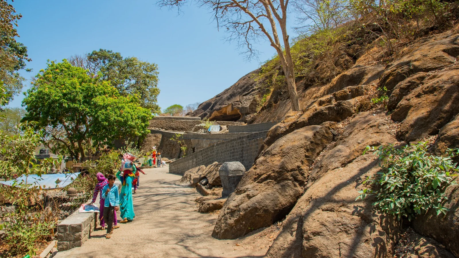 Sanjay Gandhi National Park gallery 4