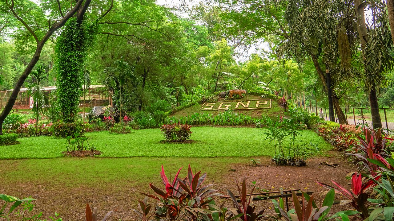 Sanjay Gandhi National Park gallery 9