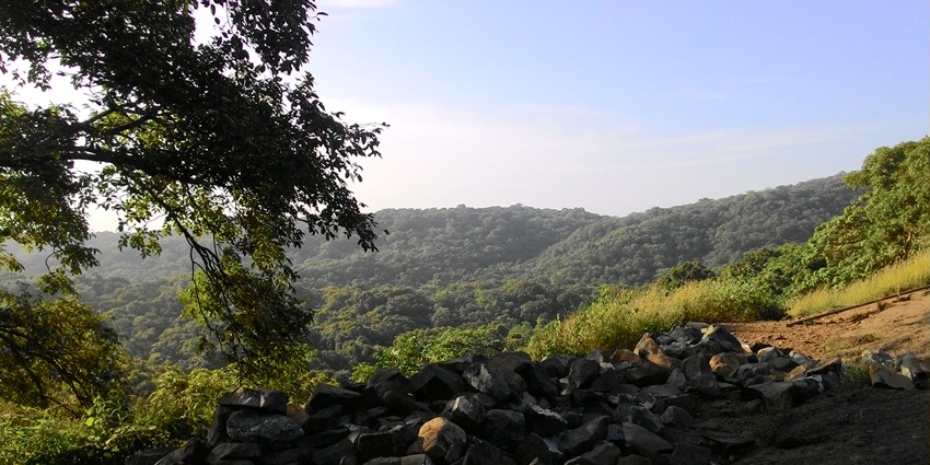 Sanjay Gandhi National Park gallery 34