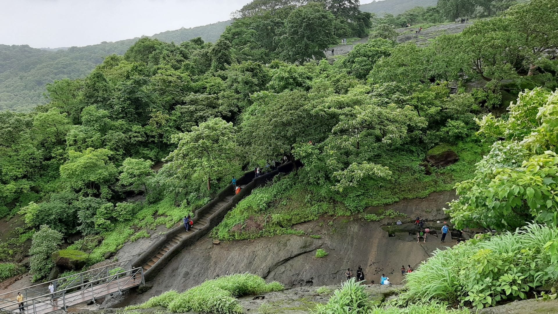 Sanjay Gandhi National Park gallery 19