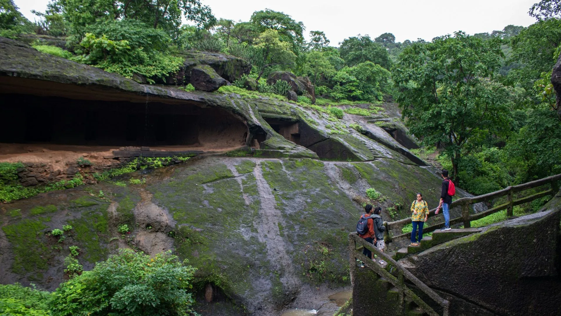 Sanjay Gandhi National Park gallery 35