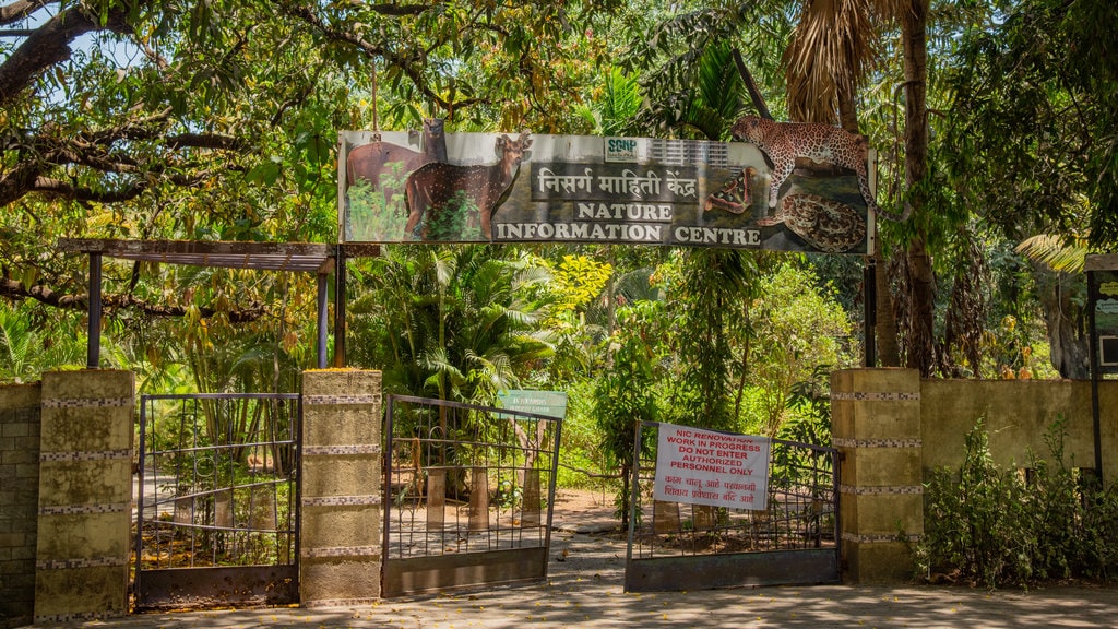 Sanjay Gandhi National Park gallery 26