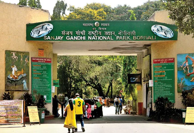 Sanjay Gandhi National Park gallery 17